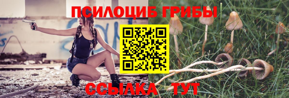 Красноармейск  Галлюциногенные грибы Cubensis  Галлюциногенные грибы прущие грибы  Вход с VPN 