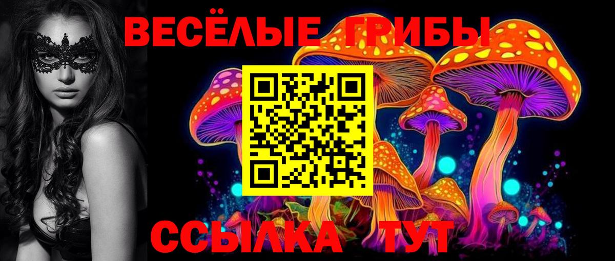 Псилоцибиновые грибы Psilocybe Красноармейск